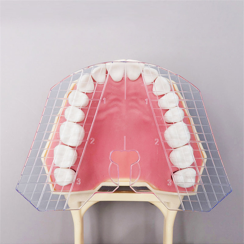 Dental Guide Template Plate Denture False Teeth Arrangement 134℃ Amann Gilbach