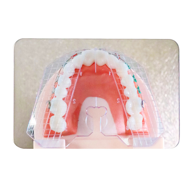 Dental Guide Template Plate Denture False Teeth Arrangement 134℃ Amann Gilbach