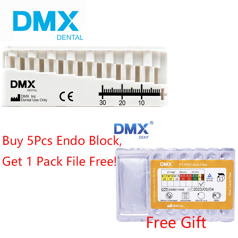 DMXDENT Dental Endo Block Measure Mini Ruler Endodontic Files Holder + Free Gift