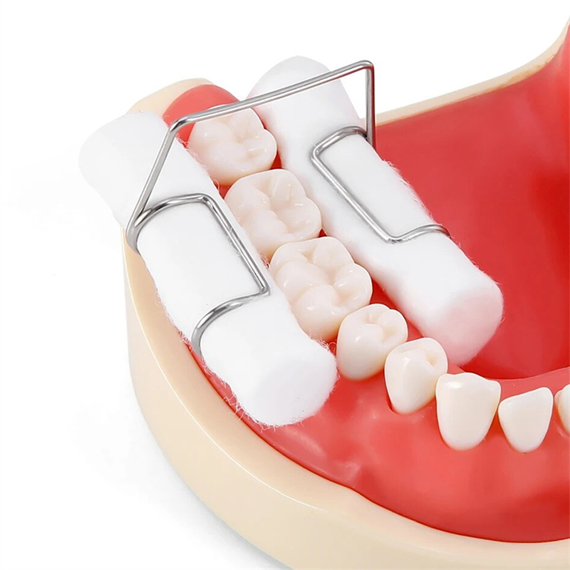 4Pcs Dental Cotton Roll Holder Stainless Steel Surgical Isolating Teeth Clip Holders
