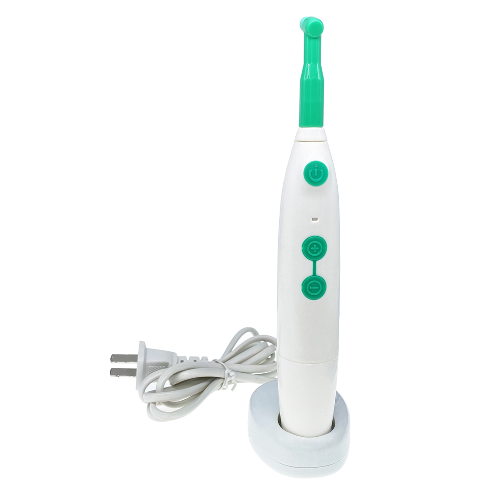 Dental Adjustable Speed Portable Hygiene Handpiece Cordless Rechargeable