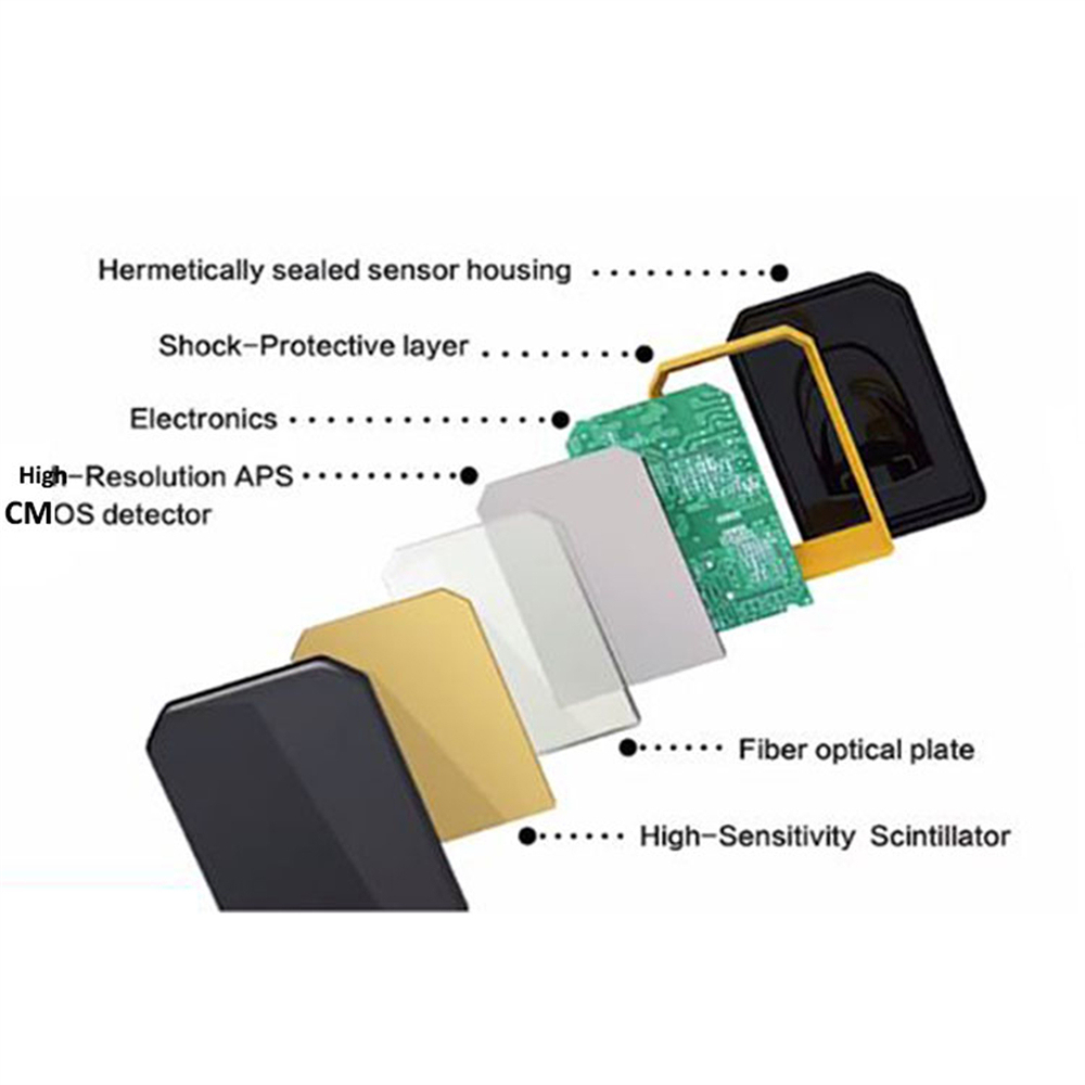 HDR 500A / 600A Dental HDR System Digital Intraoral Sensor