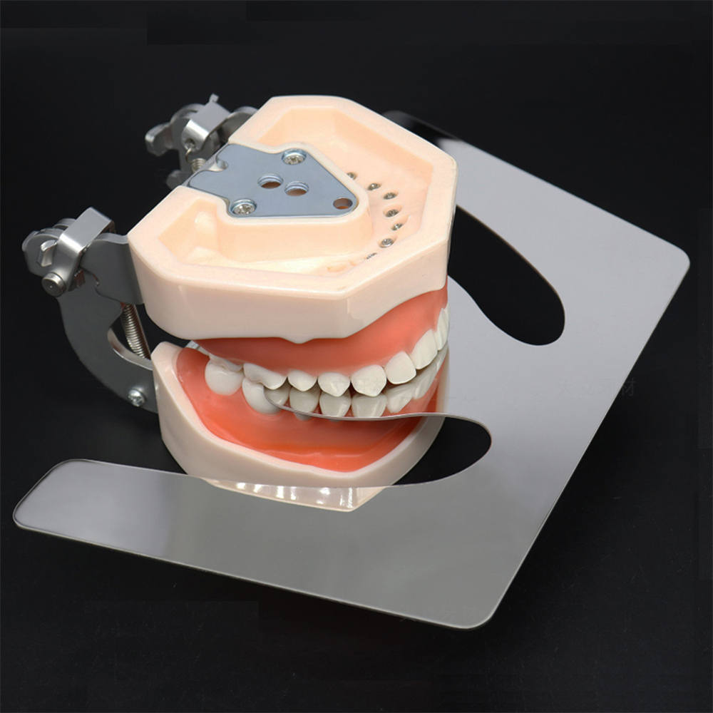 Dental Stainless Steel Autoclavable Occlusal Maxillary Casting Jaw Fox Plane