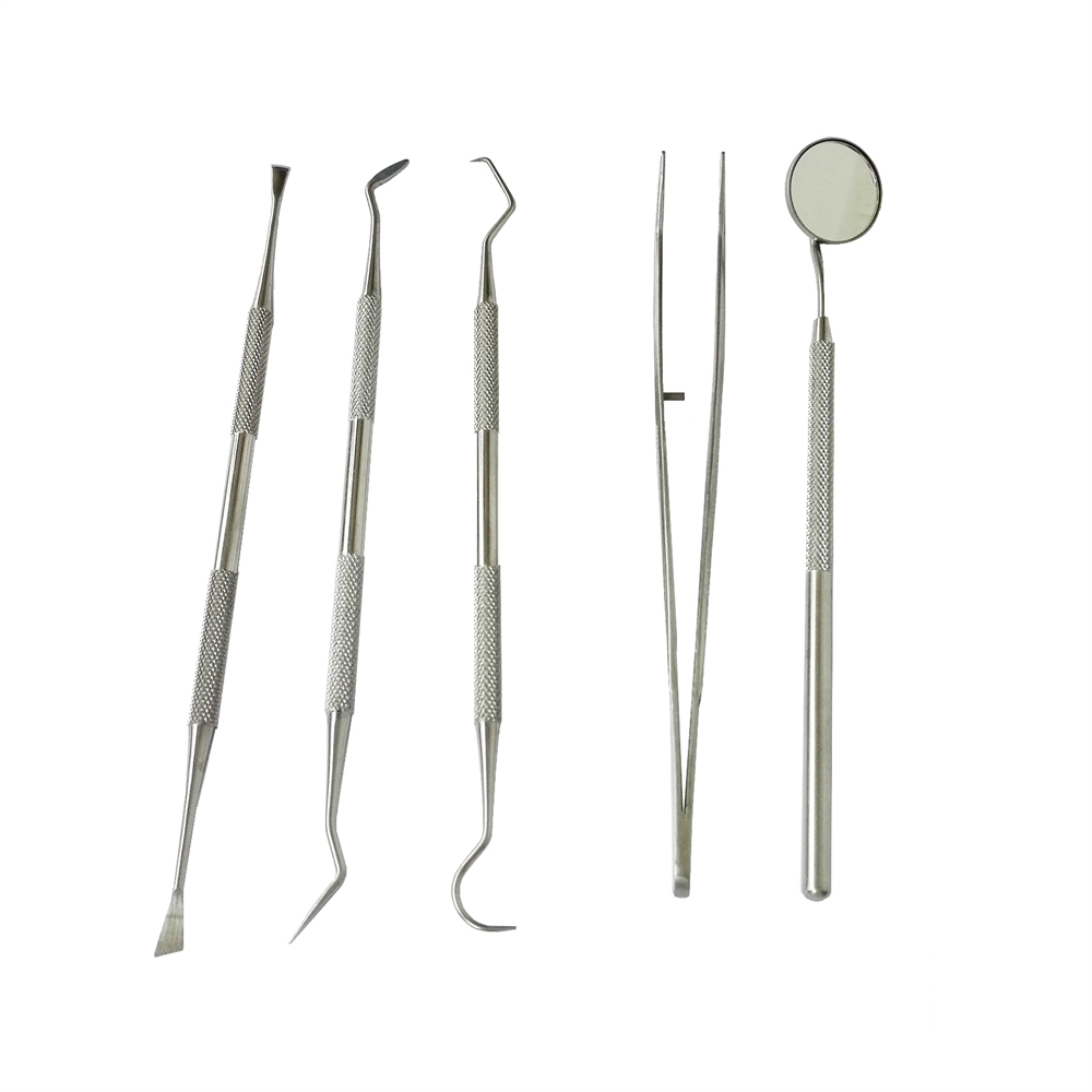 Stainless Steel Dental Cleaning Probe Tweezers Tools