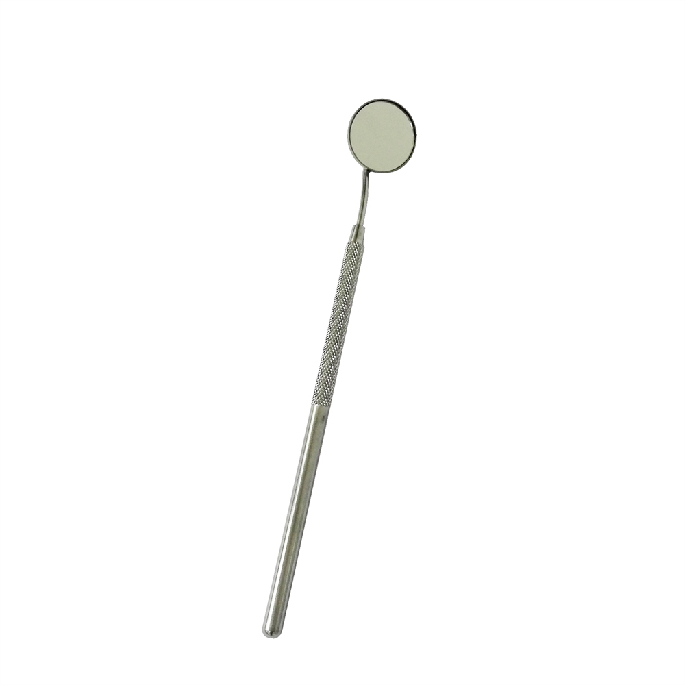 Stainless Steel Dental Cleaning Probe Tweezers Tools