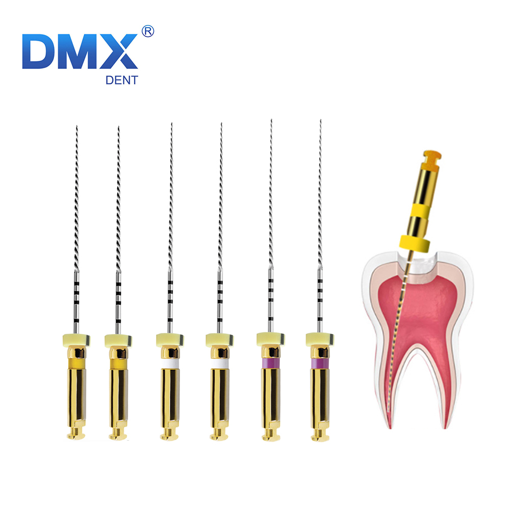 DMXDENT Dental Endo Rotary NITI File X-PATH Treatment Engine Root Canal