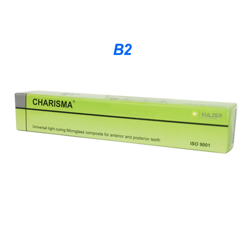 Heraeus Kulzer Charisma Dental Universal Microglass Composite Syringe A1 A2 A3 A3.5 B1 B2