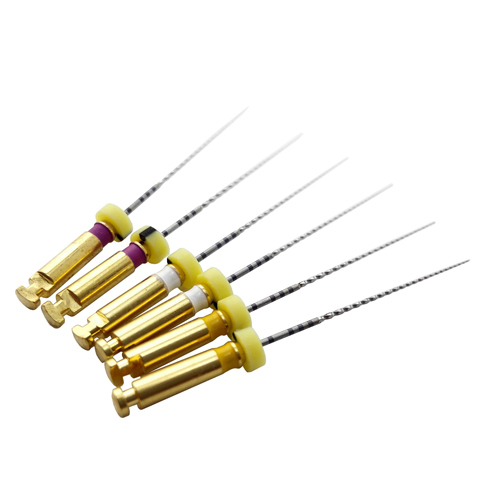 Dentsply Pathfile Endodontic Dental files Protaper 013/016/019