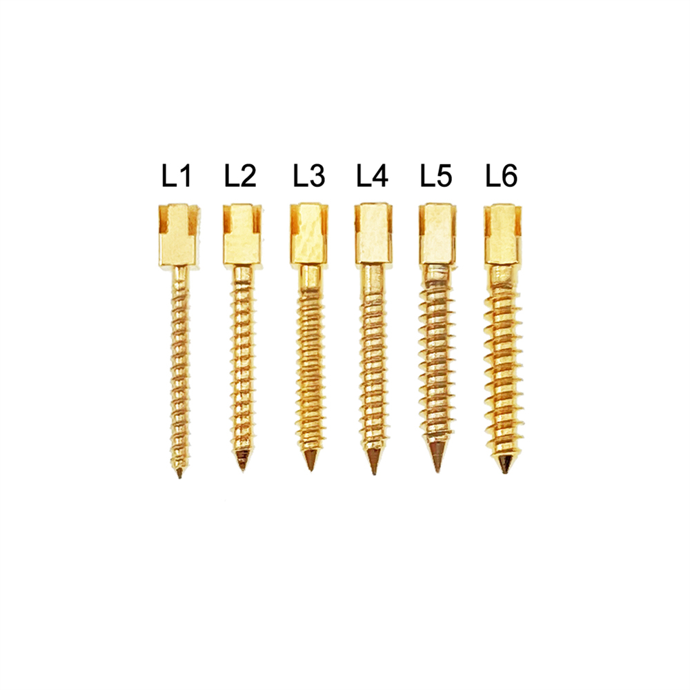 30 Pcs Dental Screw Post 24K Gold Plated Conical Refills S/M/L/XL For Root Canal