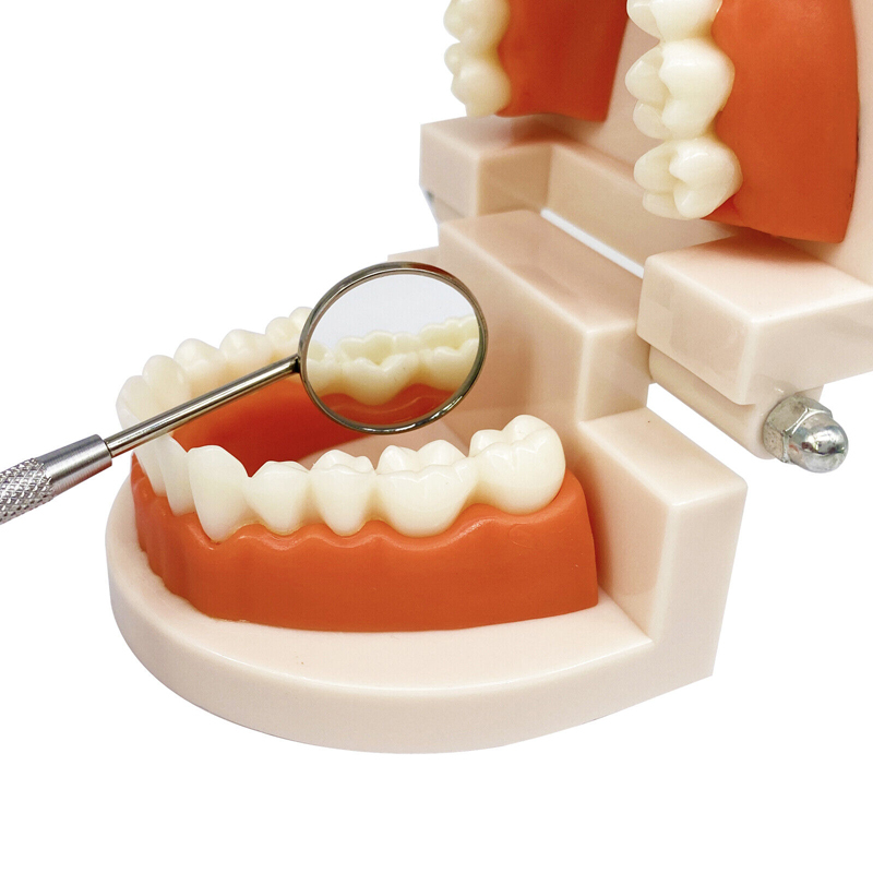 #4 #5 Dental Mouth Mirror and Handle For Teeth's ENT Dental Instruments