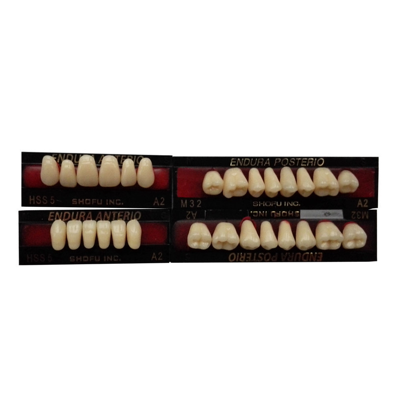 SHOFU ENDURA Dental Denture False Teeth Resin A2 M30 M32 Plastic