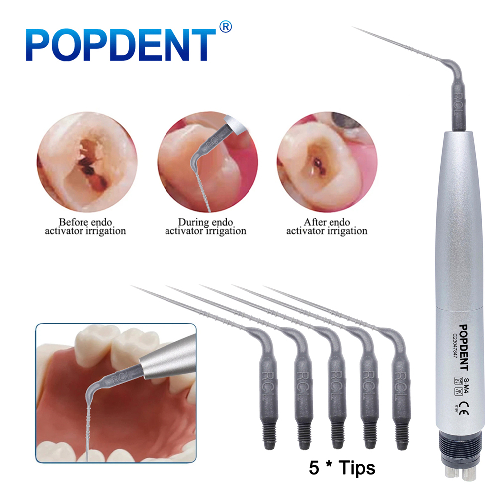 POPDENT Dental Hygienist Air Scaler Handpiece 4Hole with 5 Tips