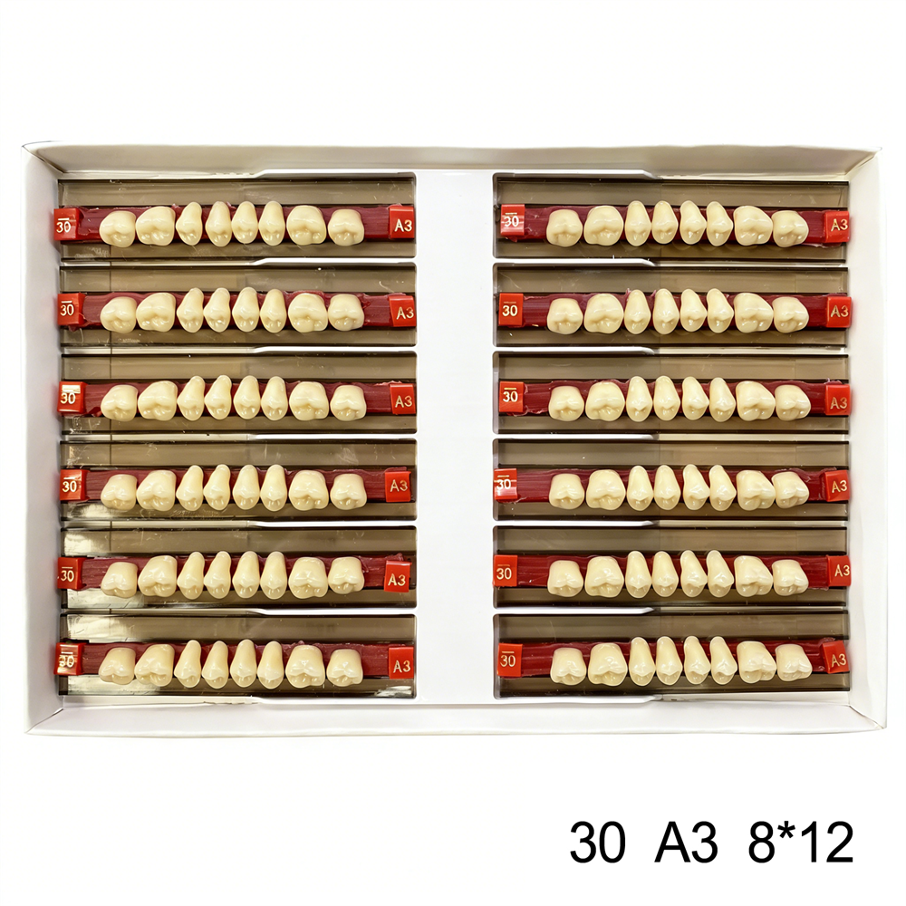 Dental Acrylic Resin Denture False Teeth Anterior DIY Lab A1/A2/A3 U/L Full size
