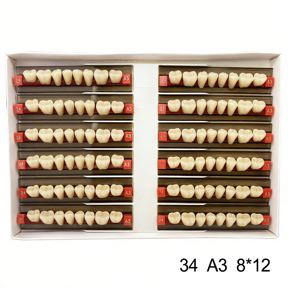 Dental Acrylic Resin Denture False Teeth Anterior DIY Lab A1/A2/A3 U/L Full size
