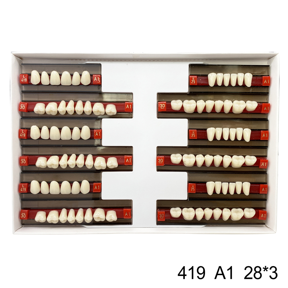 Dental Acrylic Resin Denture False Teeth Anterior DIY Lab A1/A2/A3 U/L Full size