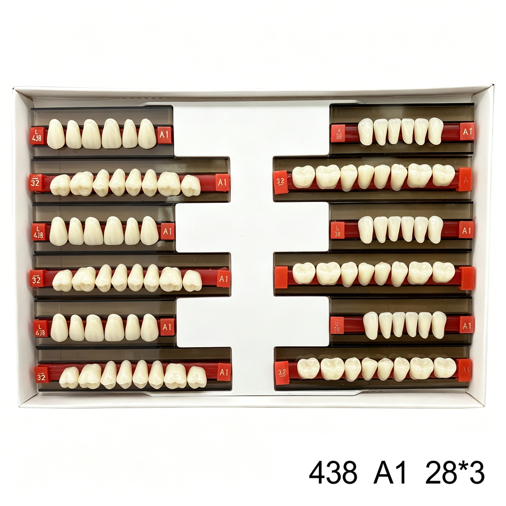 Dental Acrylic Resin Denture False Teeth Anterior DIY Lab A1/A2/A3 U/L Full size
