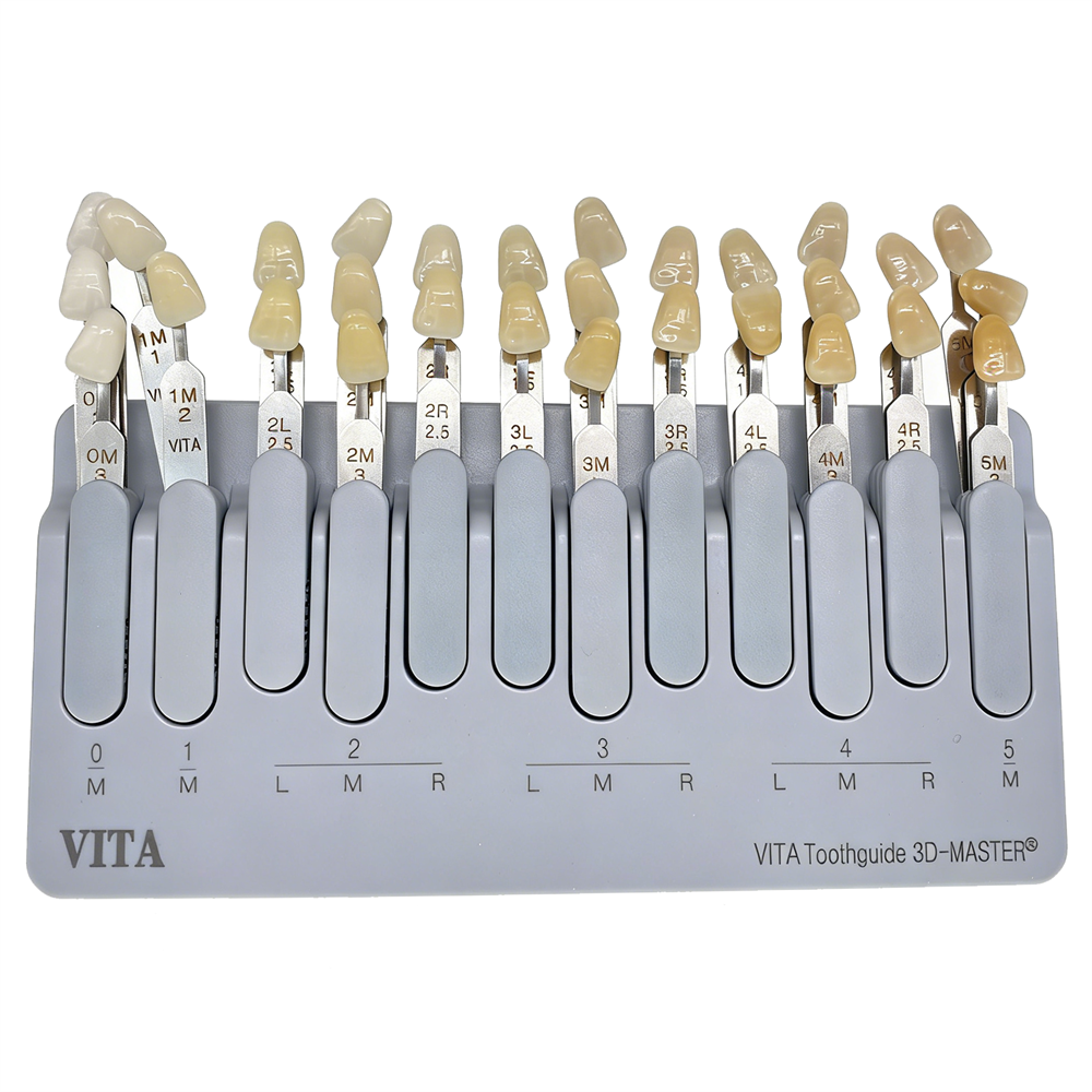 VITA Toothguide 3D-Master Shade Tooth Whiting Comparison Guide 29/16 Colors