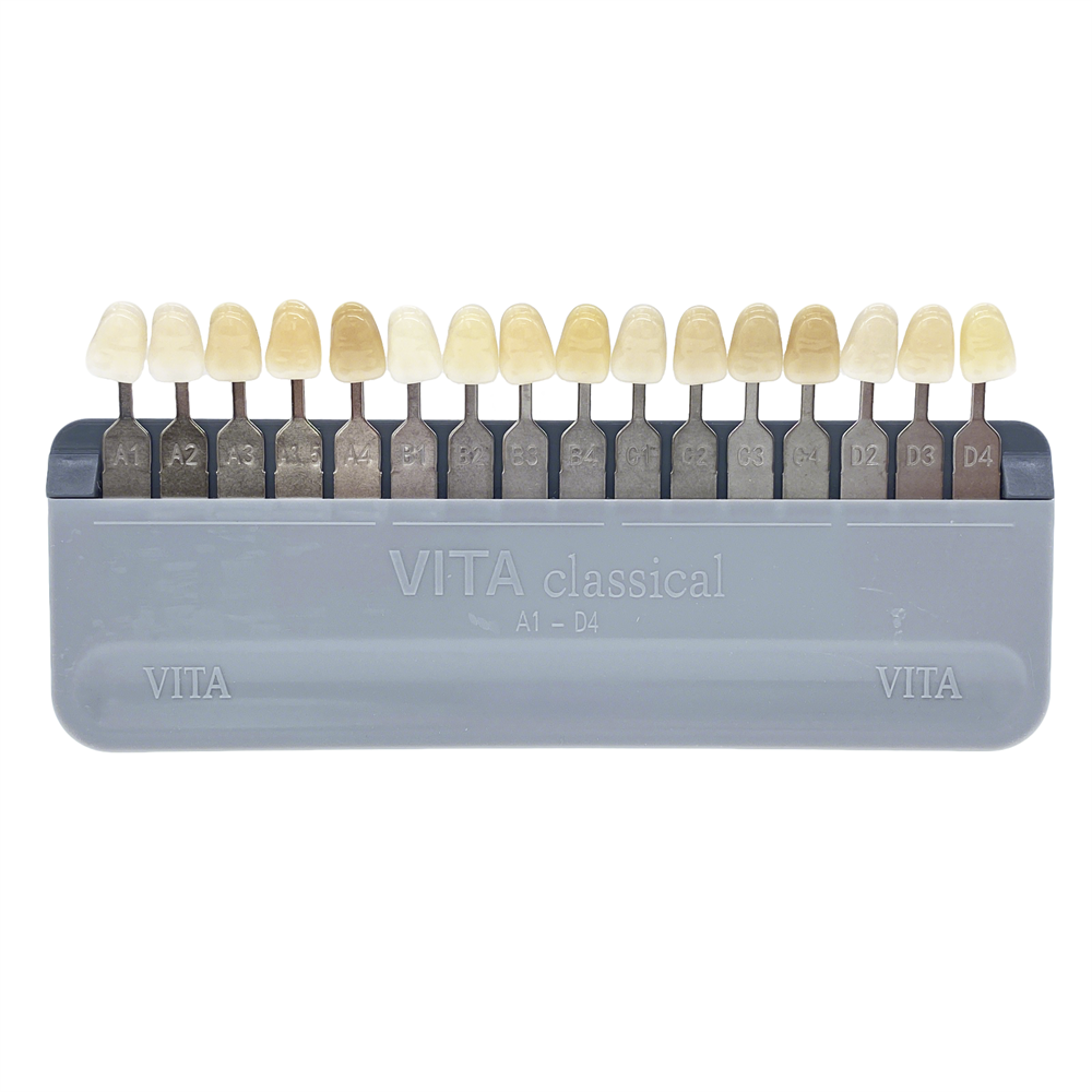 VITA Toothguide 3D-Master Shade Tooth Whiting Comparison Guide 29/16 Colors