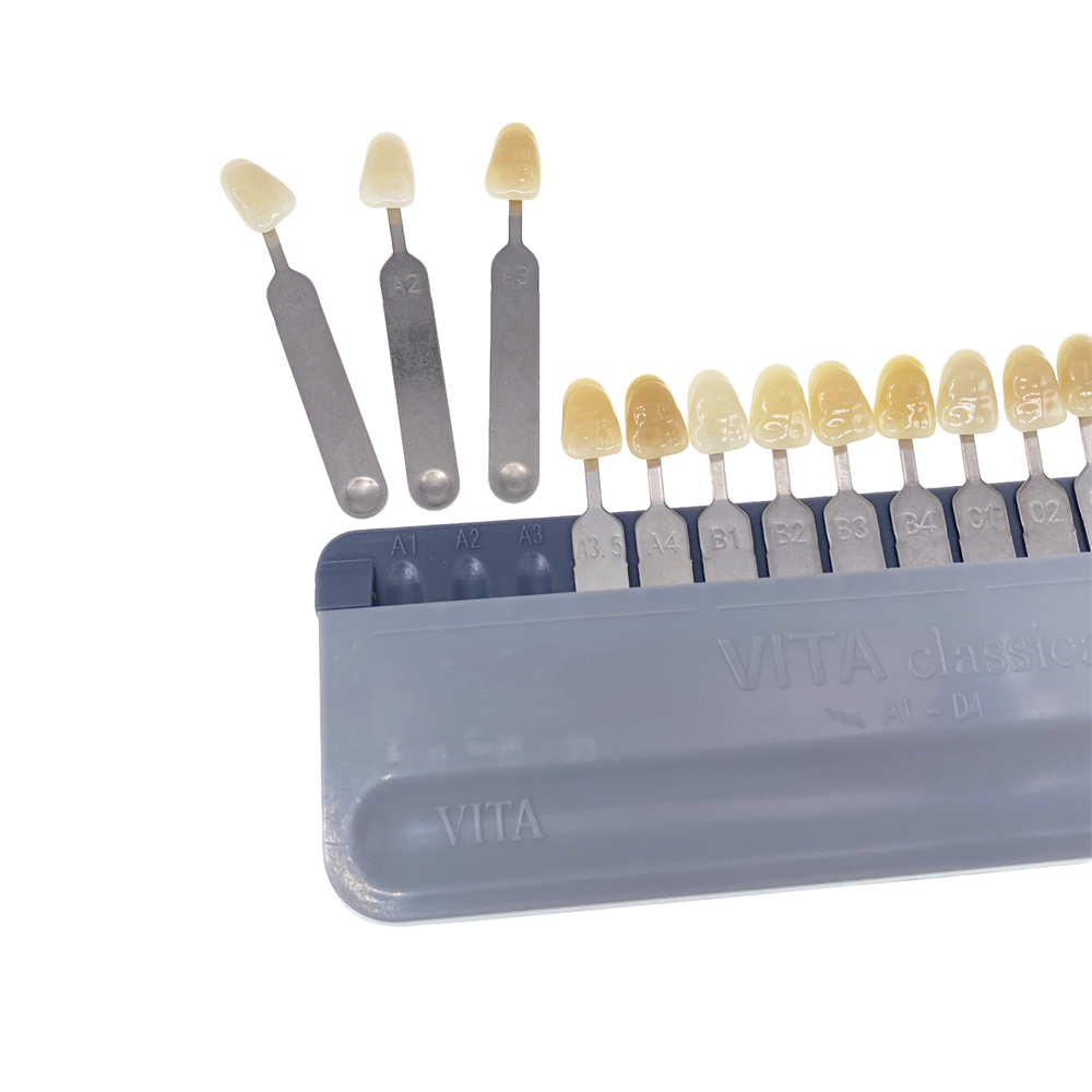 VITA Toothguide 3D-Master Shade Tooth Whiting Comparison Guide 29/16 Colors