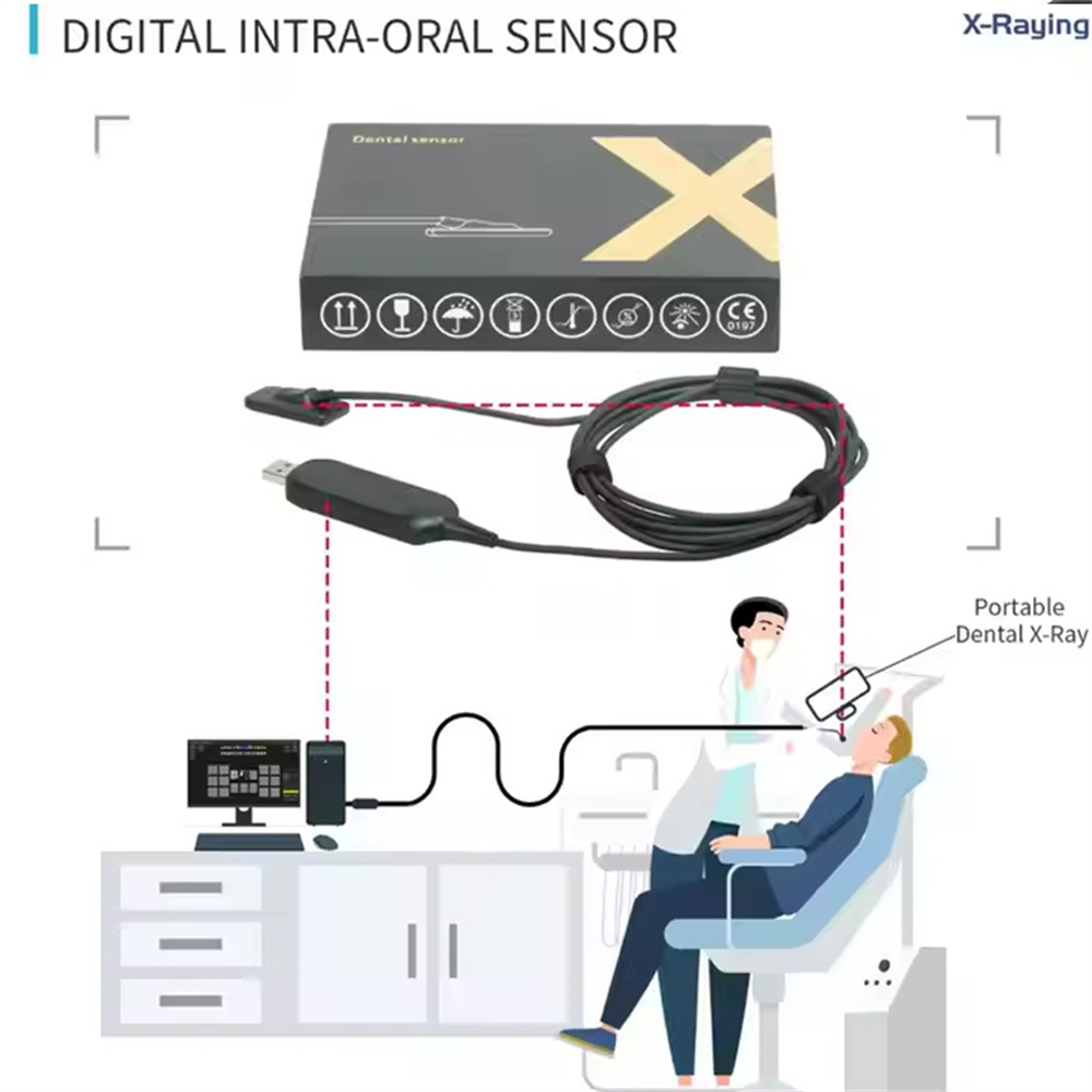 Dental Digital Sensor Intraoral System HD Sensor RVG Image Size 1.0 / 2.0