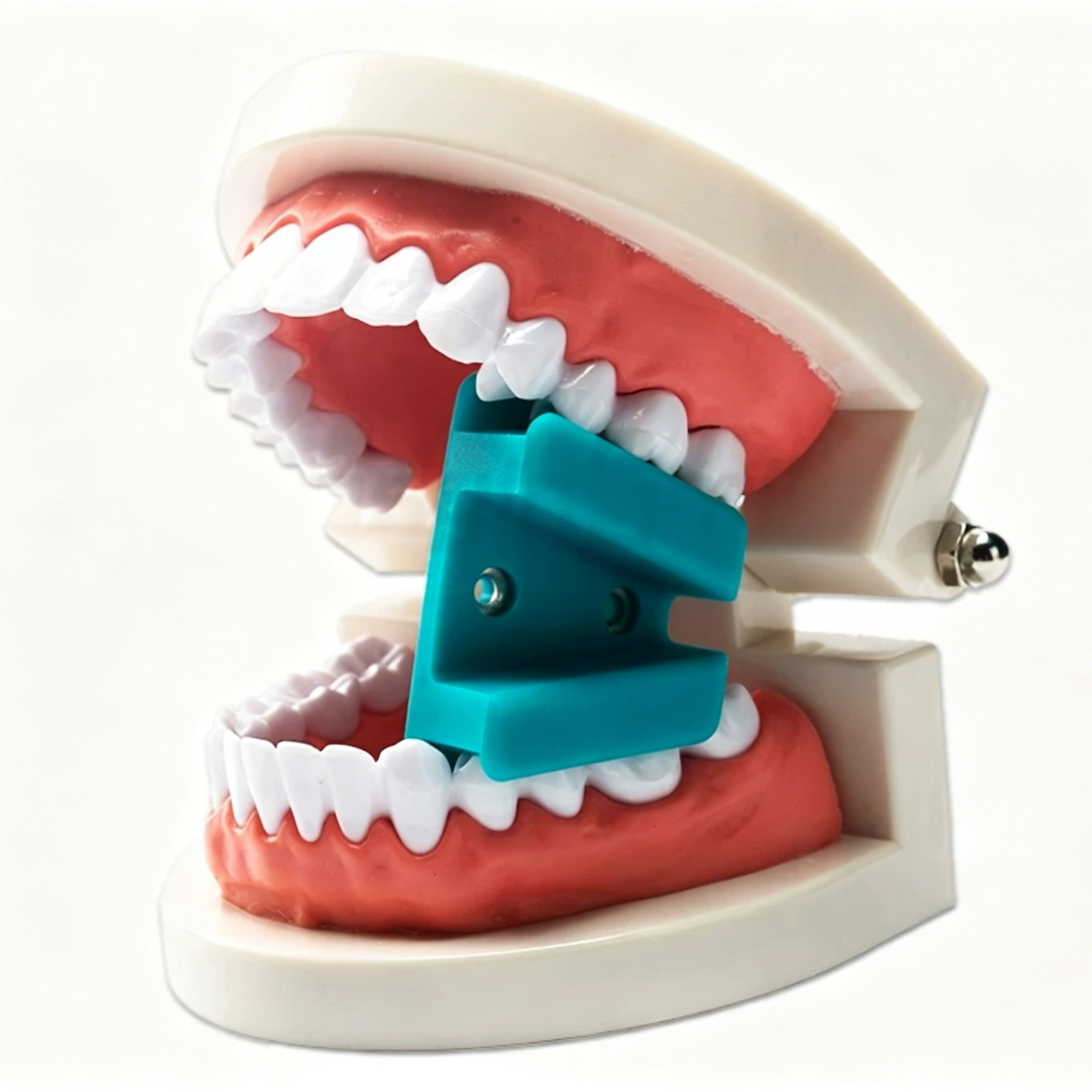 2pcs Dental Silicone Mouth Bite Blocks Props Small Medium Large for Teeth