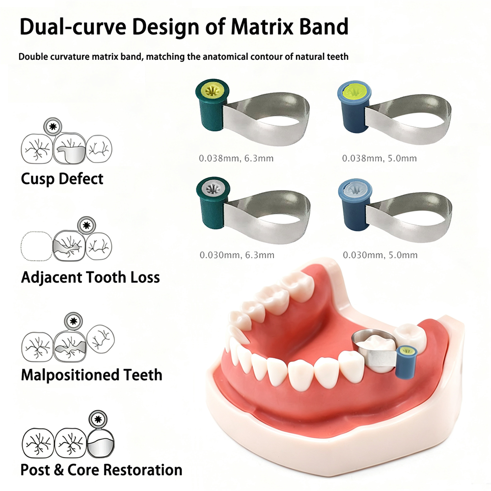 Dental Adapt SuperCap Steel Matrix M6 Matrices Thickness 0.03/0.038mm 50Pcs/Box