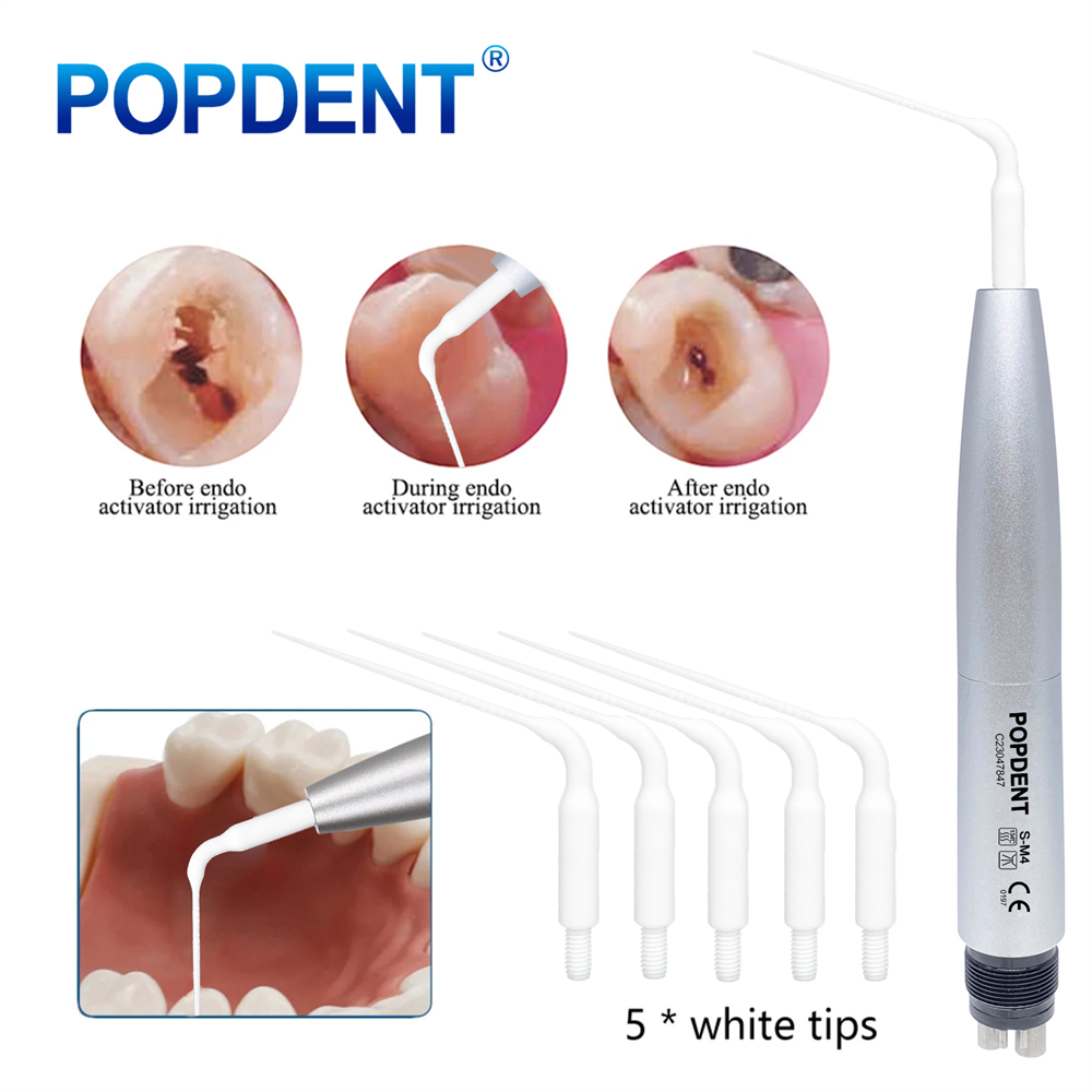POPDENT Dental Ultrasonic Air Perio Scaler Handpiece Hygienist 2/4Hole