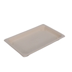 EG-2.0 sushi container sushi box