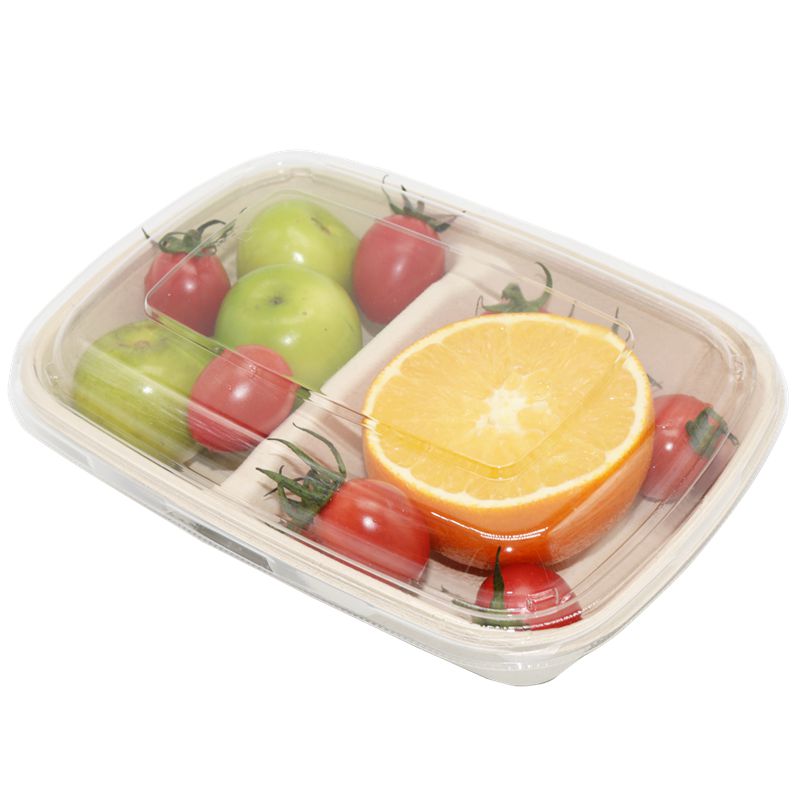 Bagasse Rectangle Container 1000ml with PET Lid 1x300
