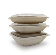 Bagasse Square Container 24oz With Pet Lid 1X300 pcs