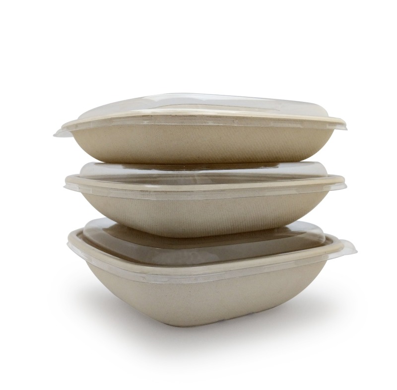 Bagasse Square Container 24oz With Pet Lid 1X300 pcs