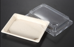 EG-1.0 sushi container sushi box