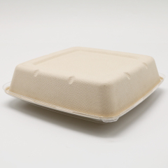 Bagasse Square Container 48oz Container with PET lid 1x300 pcs