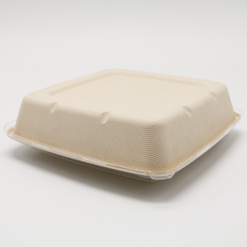 Bagasse Square Container 48oz Container with PET lid 1x300 pcs