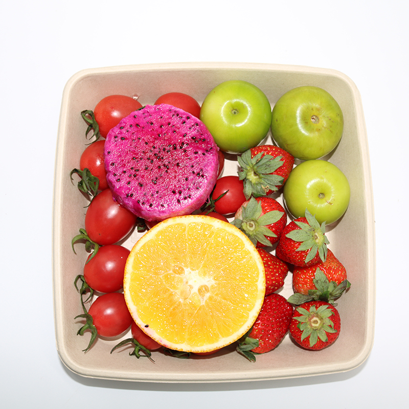 Bagasse Square Container 48oz Container with PET lid 1x300 pcs