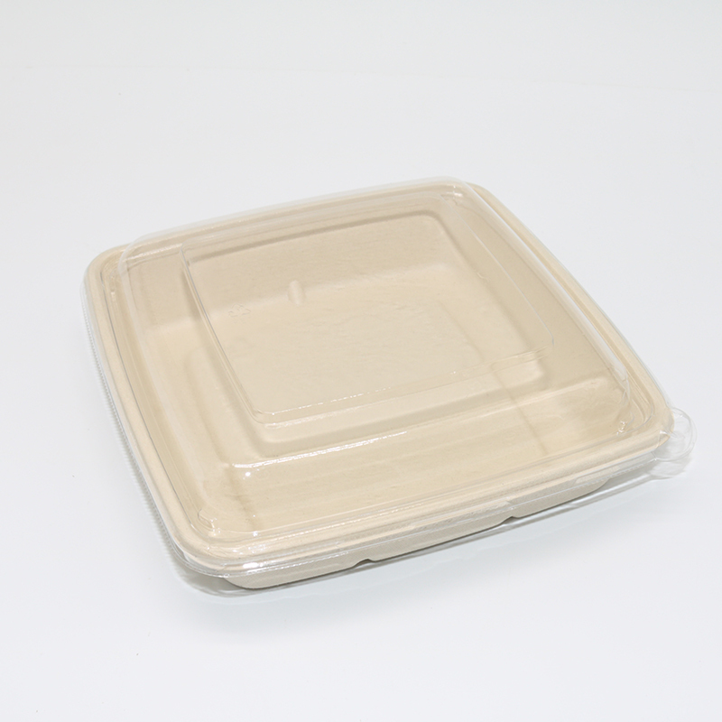 Bagasse Square Container 48oz Container with PET lid 1x300 pcs