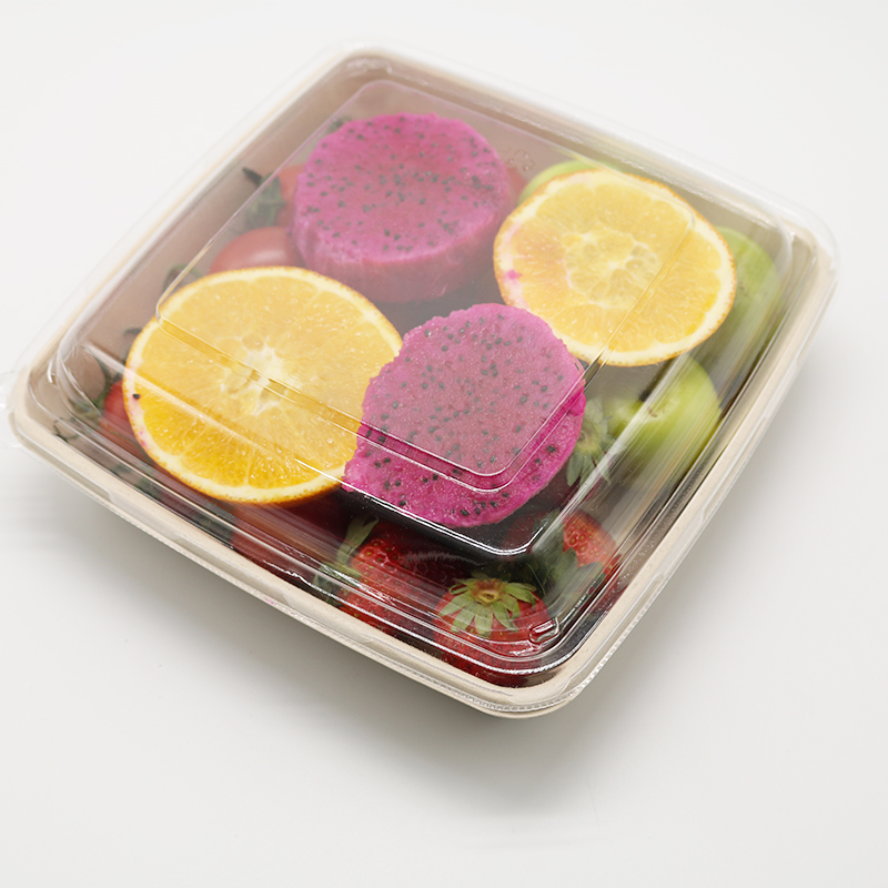 Bagasse Square Container 48oz Container with PET lid 1x300 pcs