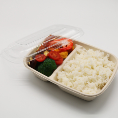 Bagasse Rectangle Container 900ml 2section with PET Lid 1X300