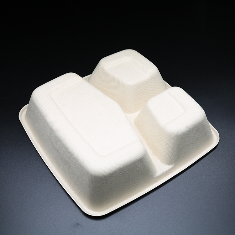 Bagasse Square Container 48oz 3 section with PET Lid 1x300PCS