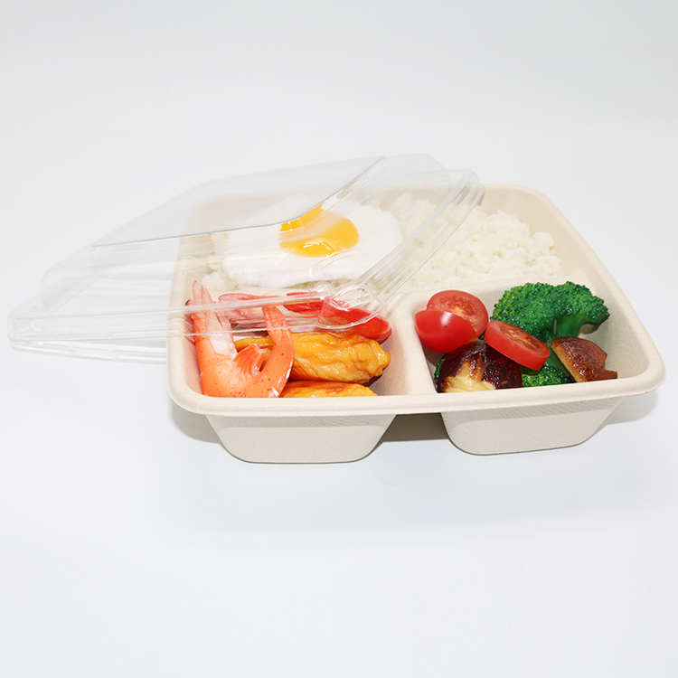 Bagasse Square Container 48oz 3 section with PET Lid 1x300PCS