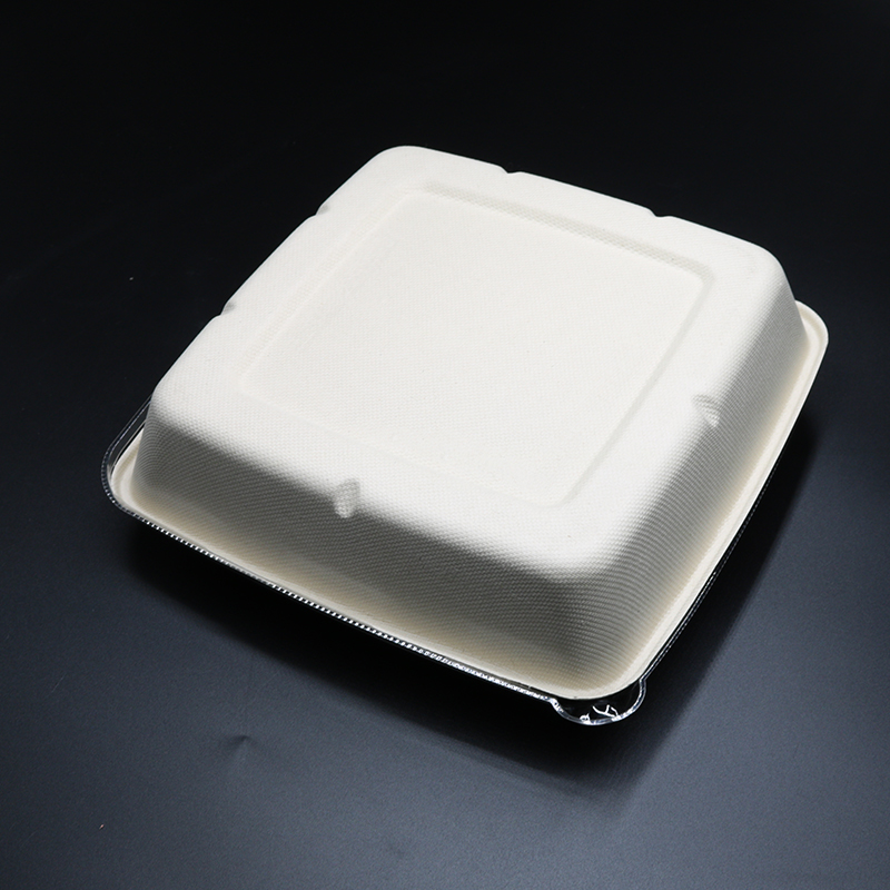 Bagasse Square Container 48oz Container with PET lid 1x300 pcs