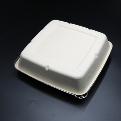 Bagasse Square Container 48oz Container with PET lid 1x300 pcs