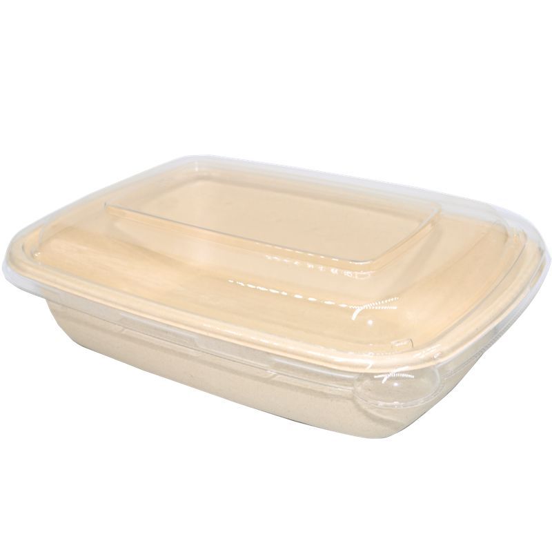Bagasse Rectangle Container 750ml with PET Lid 1x300