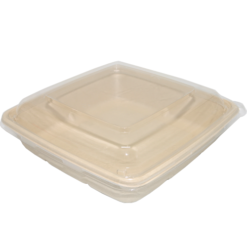 Bagasse Square Container 48oz Container with PET lid 1x300 pcs