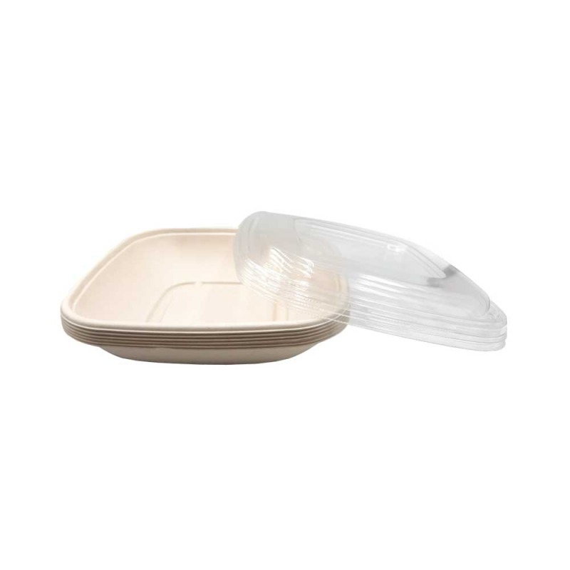 Bagasse Square Container 32oz With PET lid 1x300pcs