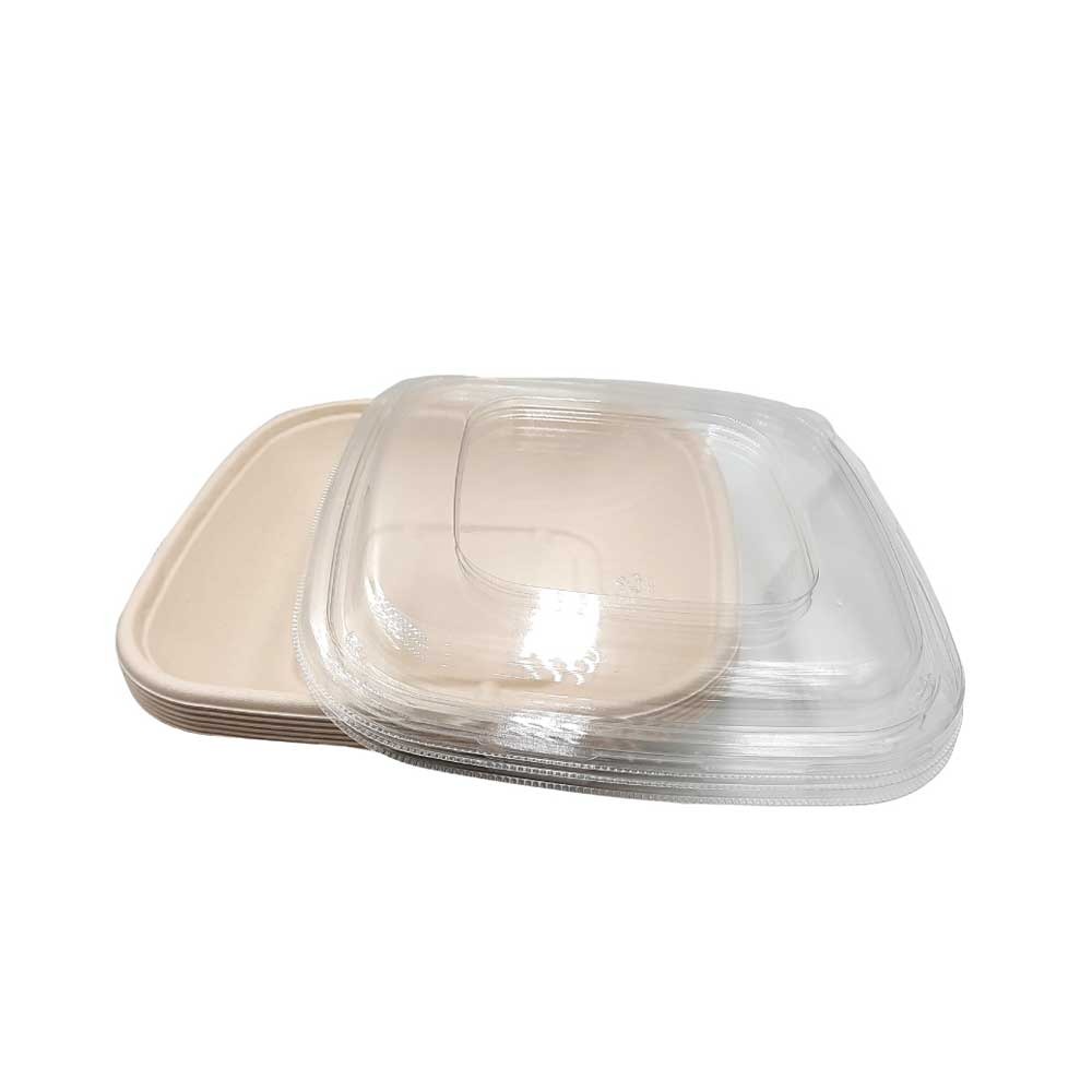 Bagasse Square Container 32oz With PET lid 1x300pcs
