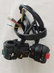 CJ-PJ-handle switch assembly