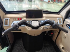 Electric passenger car/Electric tuk-tuk/Electric three-wheel taxi/Electric scooter