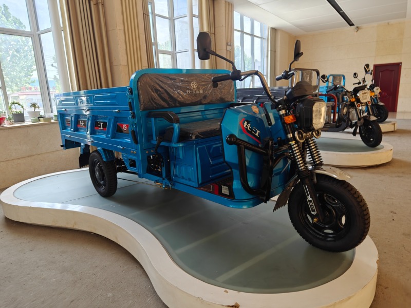 60V/1500W Motor/Electric Tricycle/ Electric Cargo Tricycle