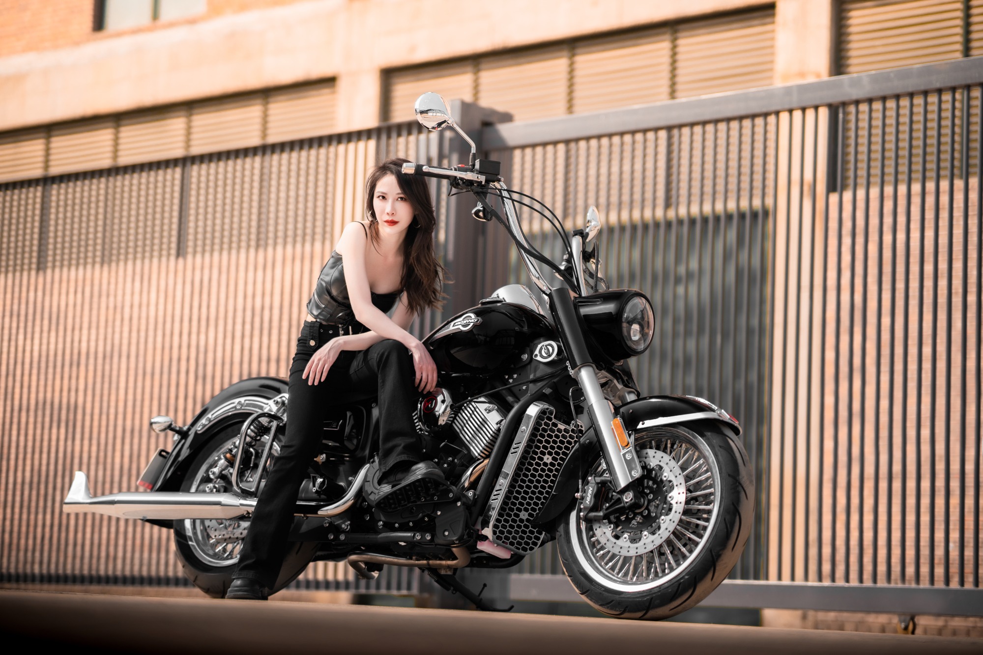 800cc Liquid-Cooled Engine/Street Bike/Coolest Motorcycle/American Gangster Motorcycle/Cruise Motorcycle